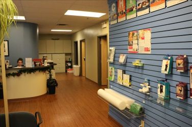 Lifemark Physiotherapy Portland Street_0.jpg Lifemark Physiotherapy Portland Street_0.jpg