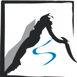 Summit Sport Physiotherapy - Okotoks_0.jpg Summit Sport Physiotherapy - Okotoks_0.jpg
