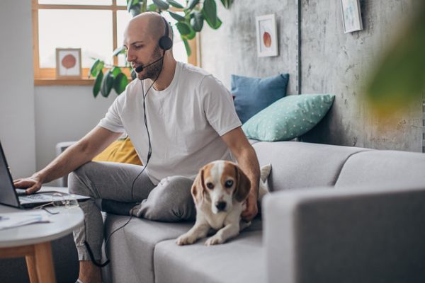man working on couch with dog