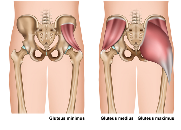 How underactive gluteal muscles can cause lower back pain
