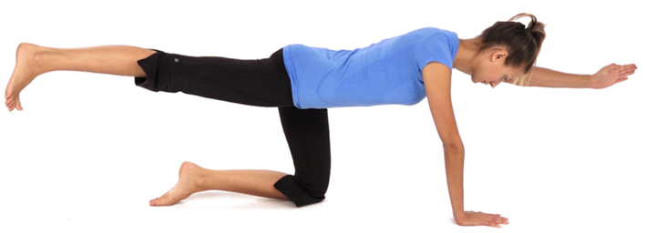 a woman doing a bird dog exercise