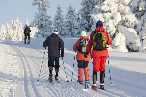 a group of people participating in cross country skiing in winter