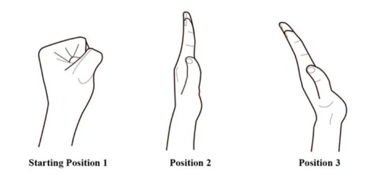 Basil Bandwagon Natural Market  6 exercises for carpal tunnel