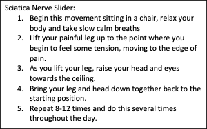 nerve slider instructions