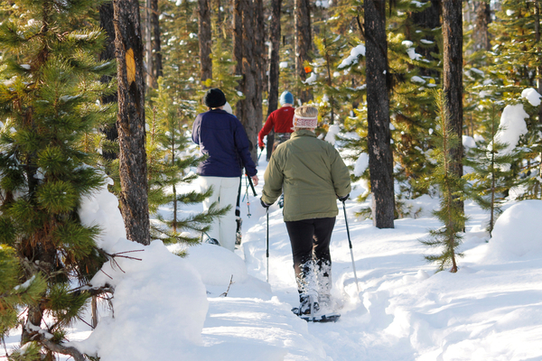 Family snowshoeing in a forest