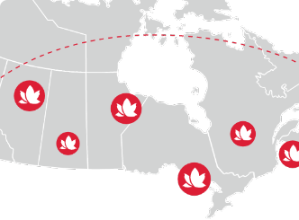 Lifemark Map