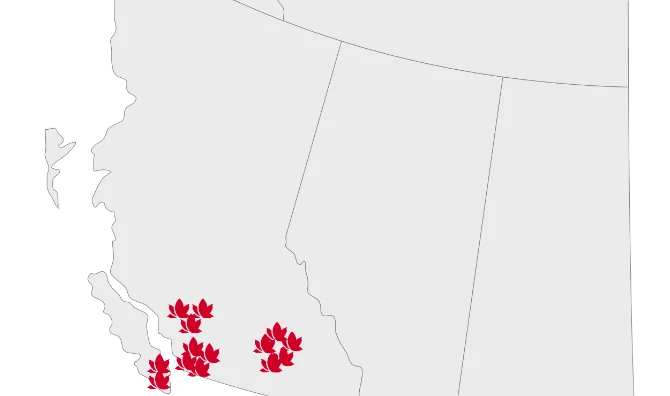 Locations Map Marked with Leafs
