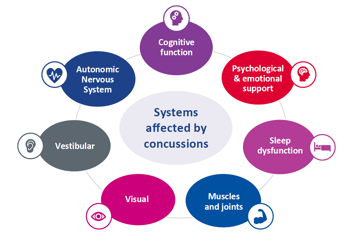 Flow chart of different body systems affected by a concussion. Such as, vestibular, visual, muscle and joints, sleep dysfunction, mental emotional, cognitive, and autonomic nervous system