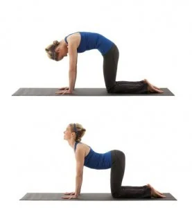 Visual of cat-camel exercise
