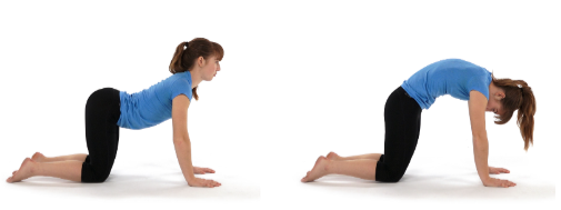 Woman performing cat-cow spinal mobility exercise