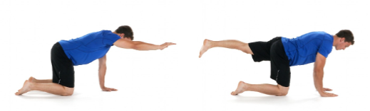 Man performing bird-dog exercises