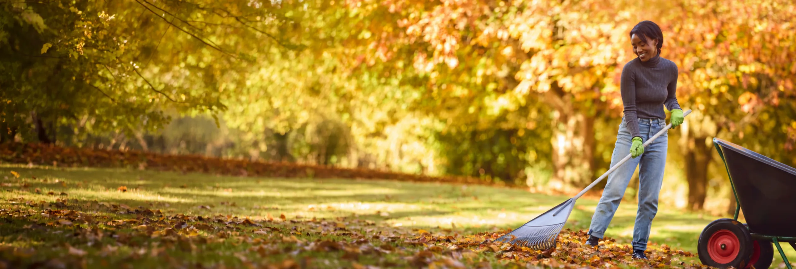 Woman Raking Autumn Leaves