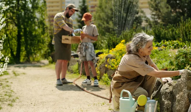Senior Caucasian woman tending garden bed while middle aged Caucasian man and teenage boy gathering vegetables in background