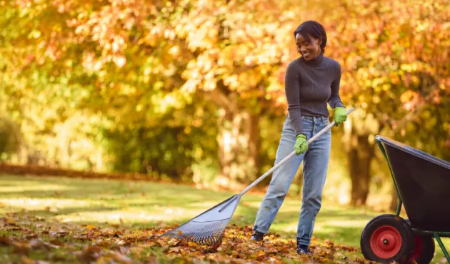 Woman Raking Autumn Leaves